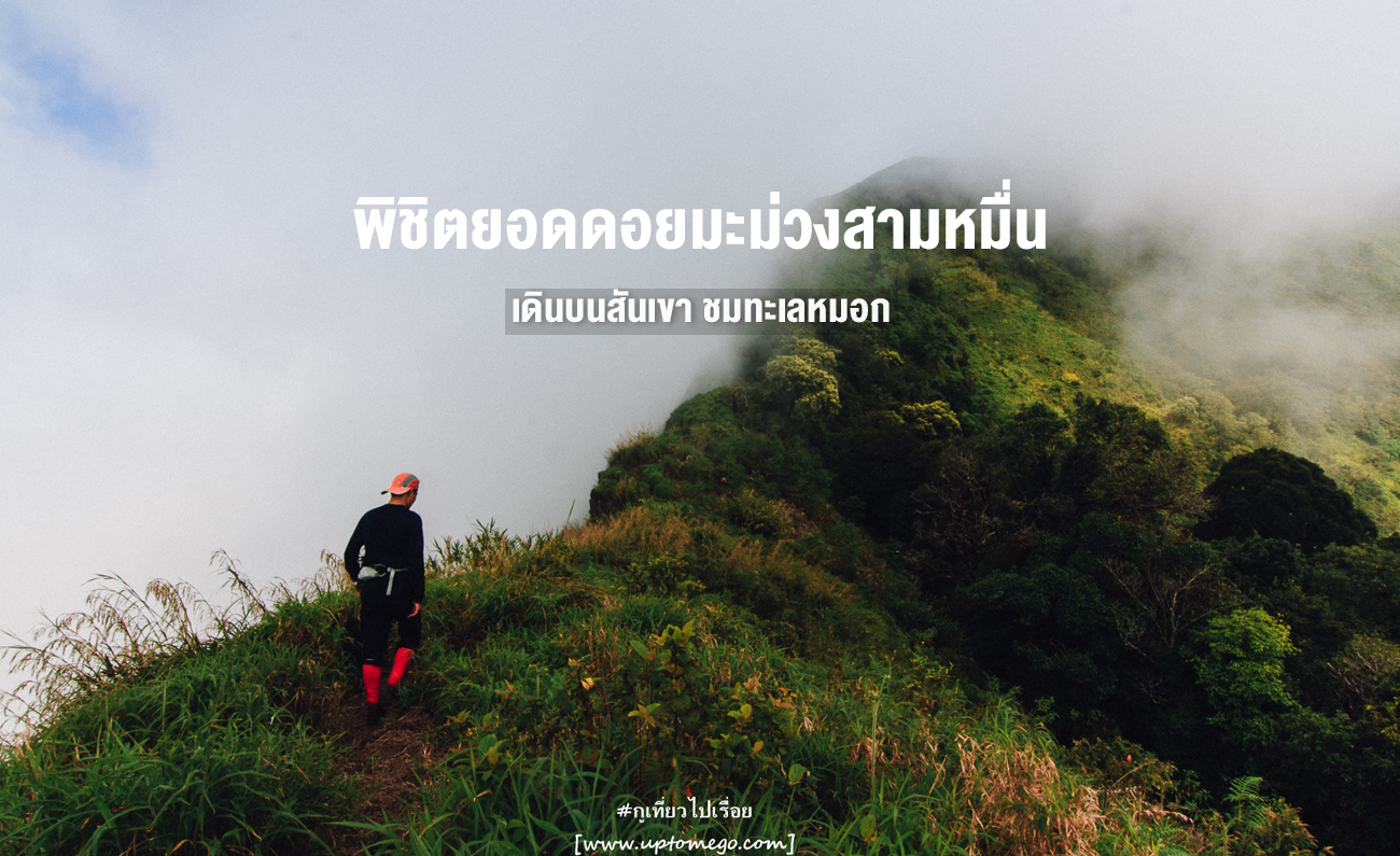 ยอดดอยมะม่วงสามหมื่น กูเที่ยวไปเรื่อย