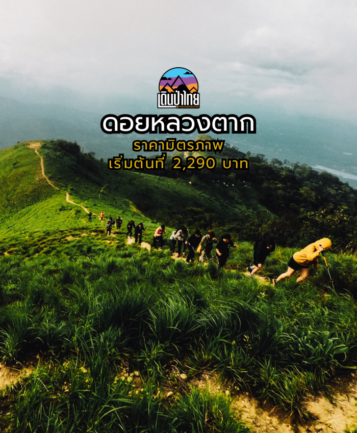 ดอยหลวงตาก 2วัน 1คืน